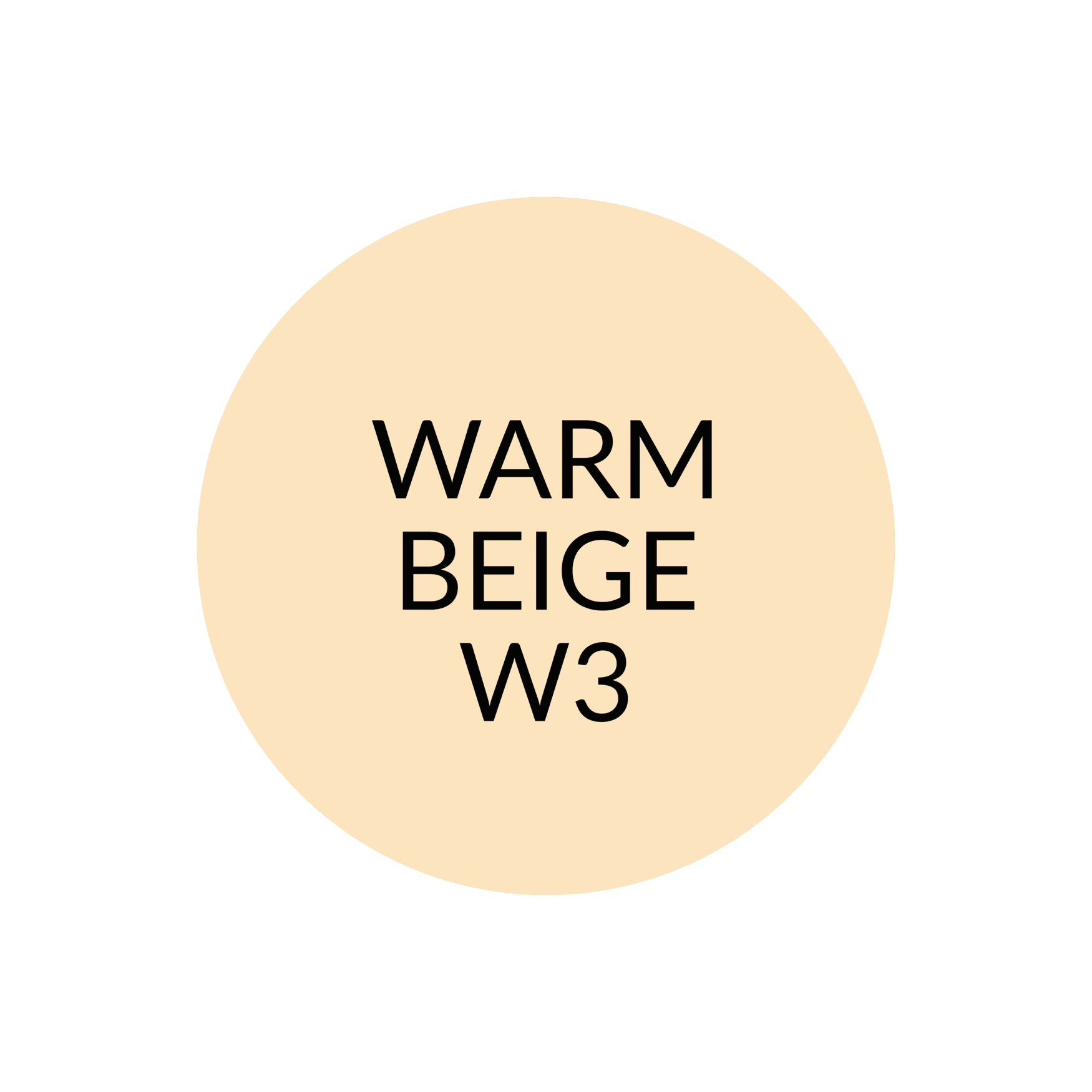 NV Perfecting Mist Foundation